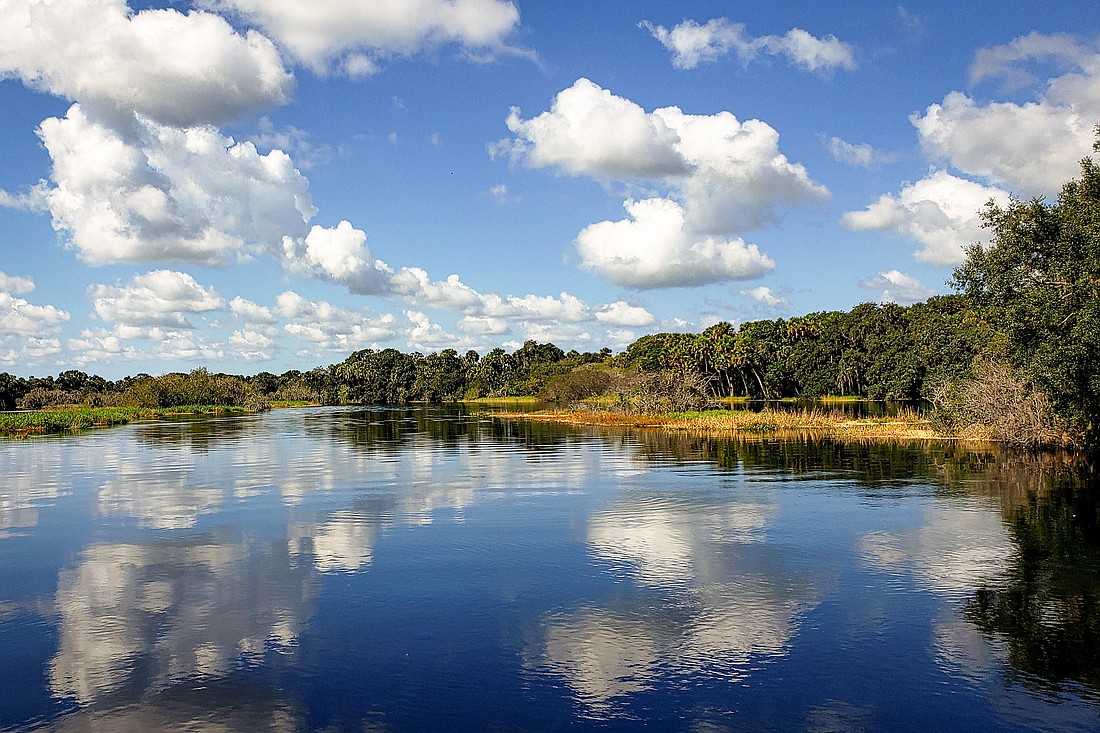 Government protections remain important in keeping the Myakka River healthy and pristine.
