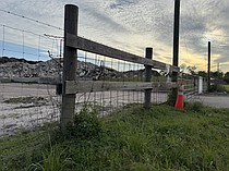 photo thumbnail