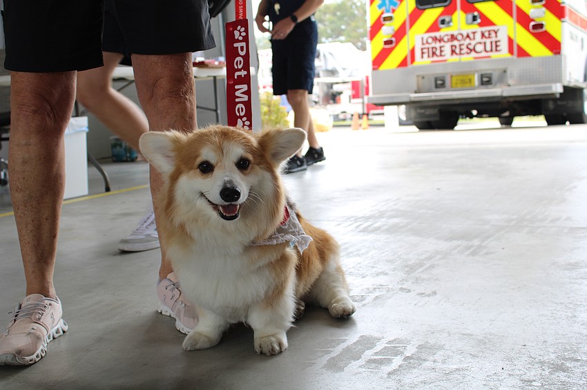Oliver, a Sarasota Memorial certified therapy dog, welcomes pets at the Longboat Key Fire Rescue open house.