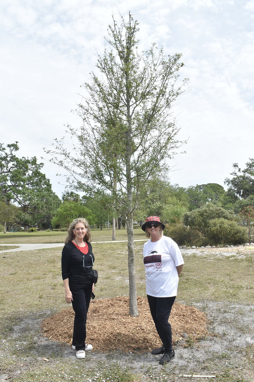 Lynn Elkes, the event chair and Kelly Brown, president of the neighborhood association, stand beside the newly planted oak tree, the park's centennial tree.