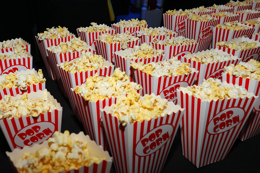 Save Our Seabirds held its annual gala at Circus Arts Conservatory on March 29.