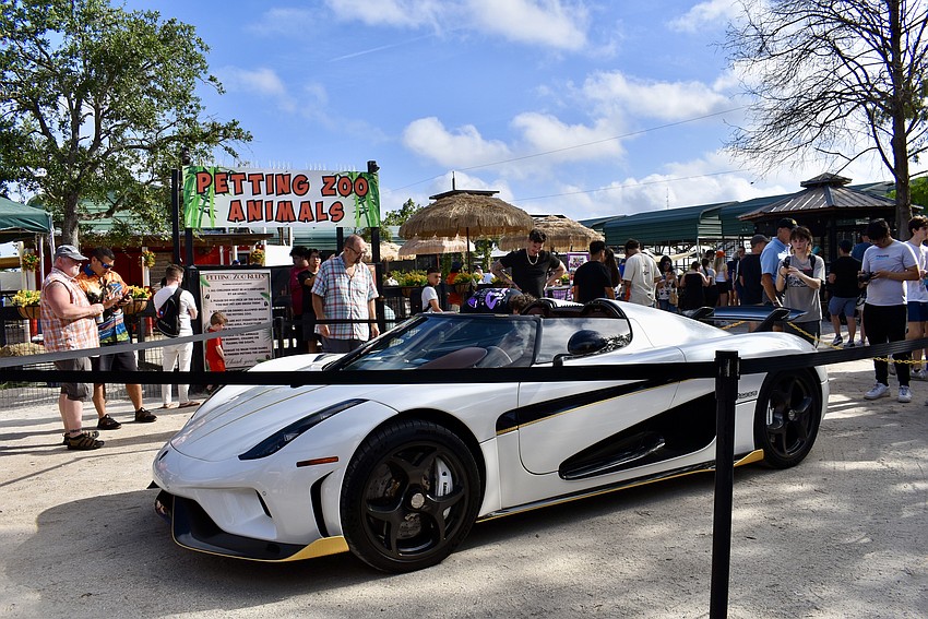 Exotic cars are roped off like animal exhibits at Big Cat Habitat April 5.