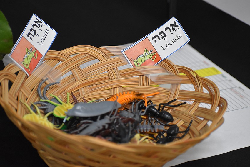 Locusts were one of the 10 plagues hidden for kids to find.