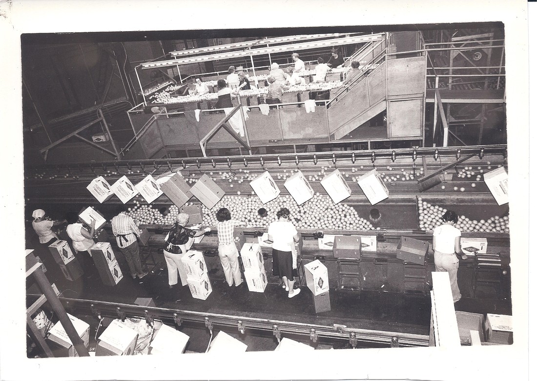 The photograph shows the interior of the vast Winter Garden Citrus Growers Association plant on Second Street, located on the Tavares & Gulf Railroad track.