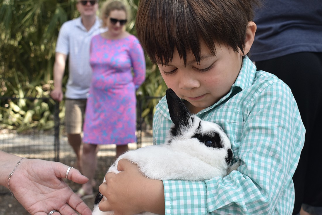 Stellan Salander, 5, holds a bunny.
