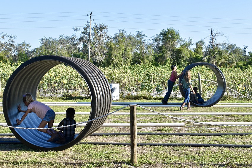 The kids play like hamsters running in wheels.