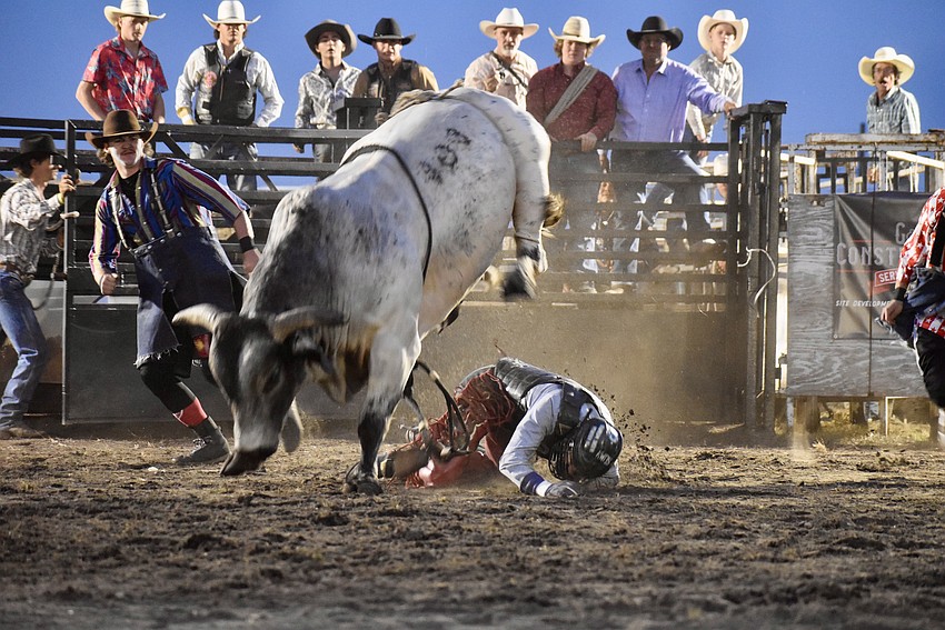 Nicky Dyer gets thrown off a bull during the Dakin Bull Bash.