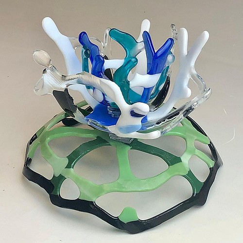 "Blue Water Hyacinth" by Alexys Zahn, Seabreeze High School junior. Photo courtesy of OMAM