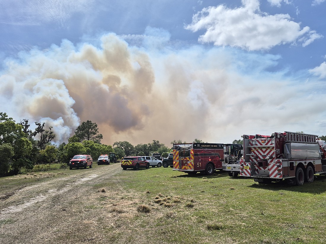 Flagler County Fire Rescue assists the Florida Forest Service to contain the Cowpen Wildfire. Photo courtesy of Flagler County