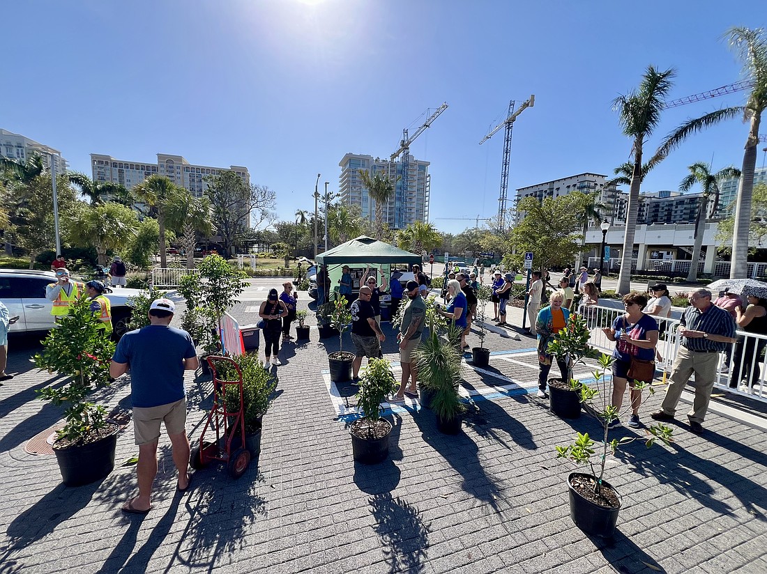The city of Sarasota gave away 100 trees in about an hour on Friday at The Bay Park.