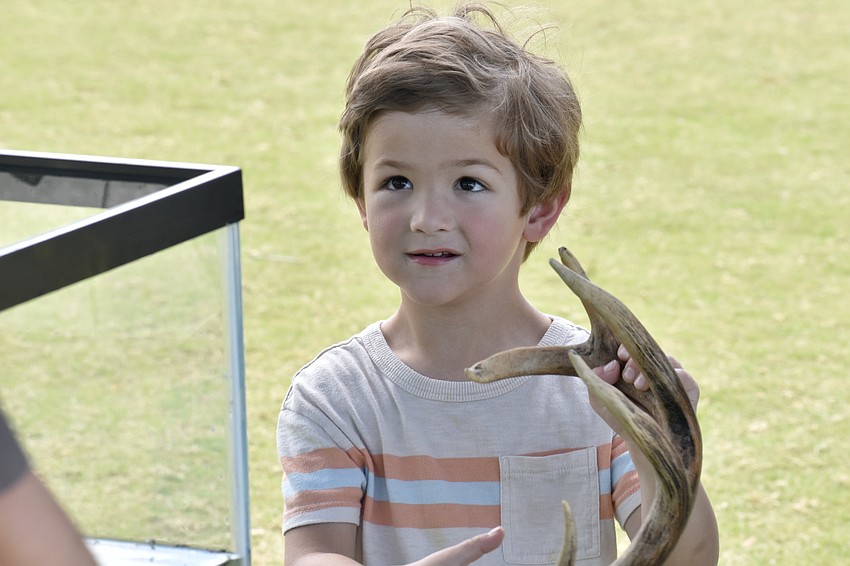 August Glasgow, 4, handles a deer antler.