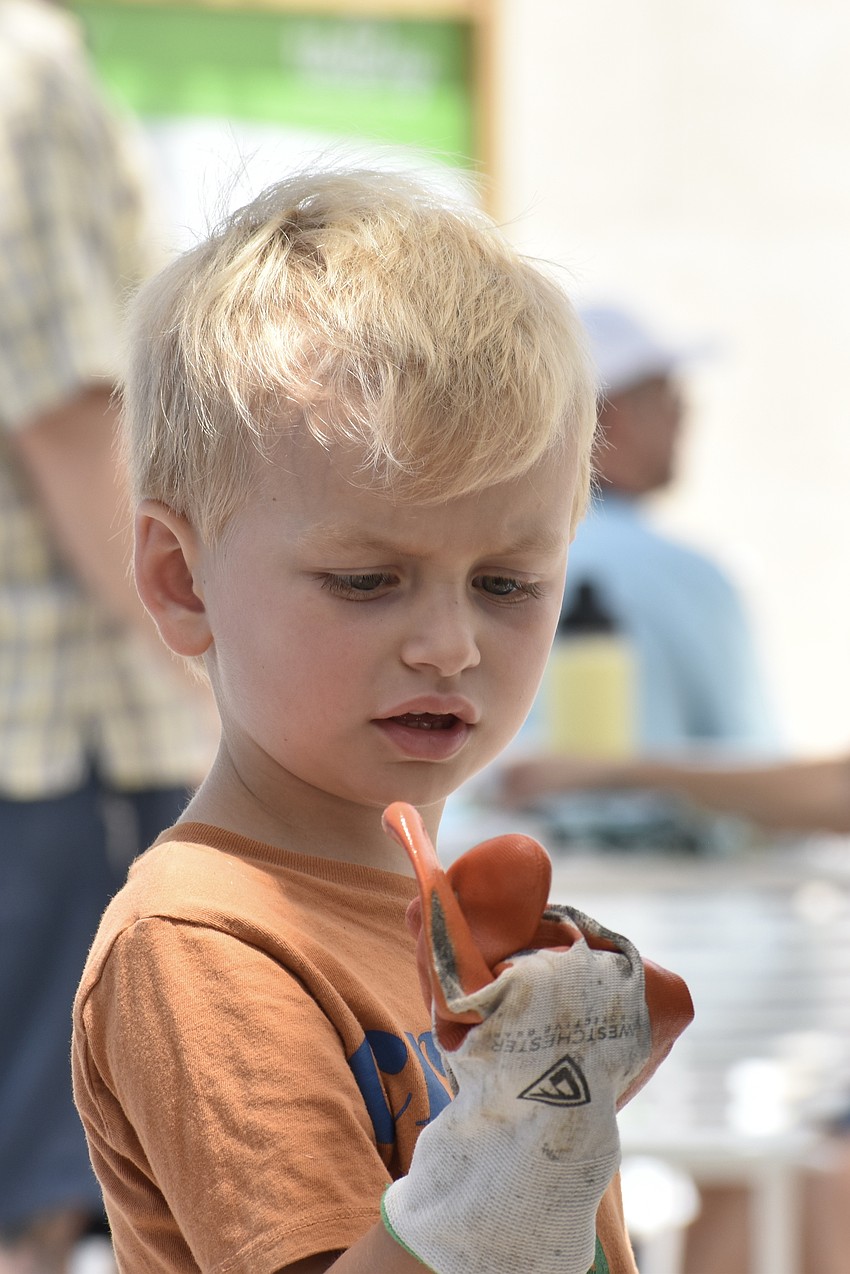 Mason Manahan, 5, tries on a glove as he prepares to dig in the compost.