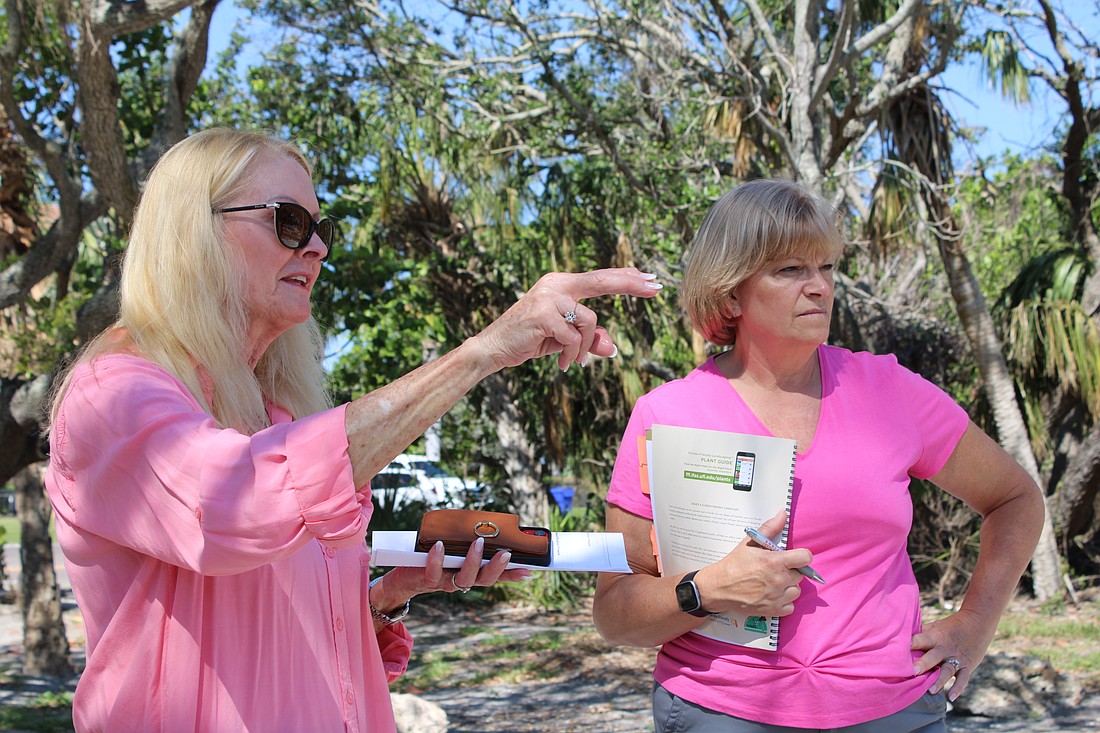 Former Longboat Key Garden Club president Susan Phillips and current president Melanie Dale thoughtfully map out a phased approach to rebuilding Bicentennial Park from hurricane damage.