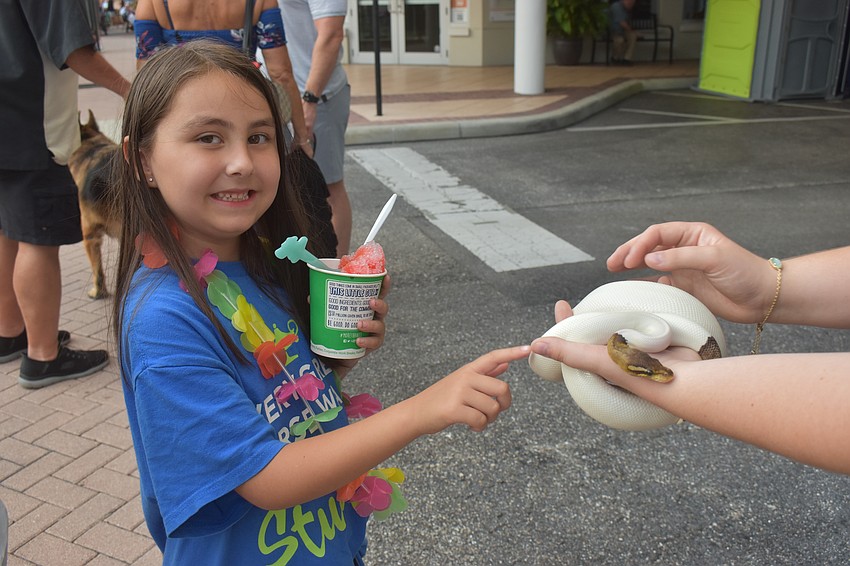 Parrish resident Mila Richardson, 6, chased down 2-year-old cinnamon pied ball python named Ghost for a quick pet. She was fascinated that the snake was mostly white in color.