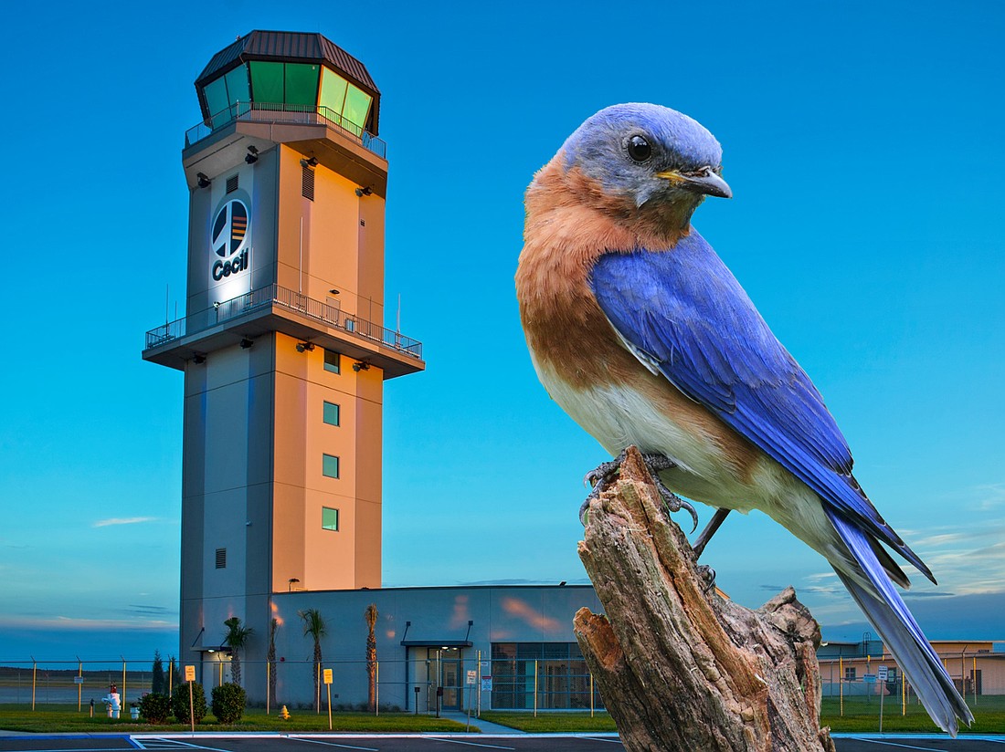 Project Bluebird plans to invest $430 million “within the fence” at Cecil Airport to build aircraft there.