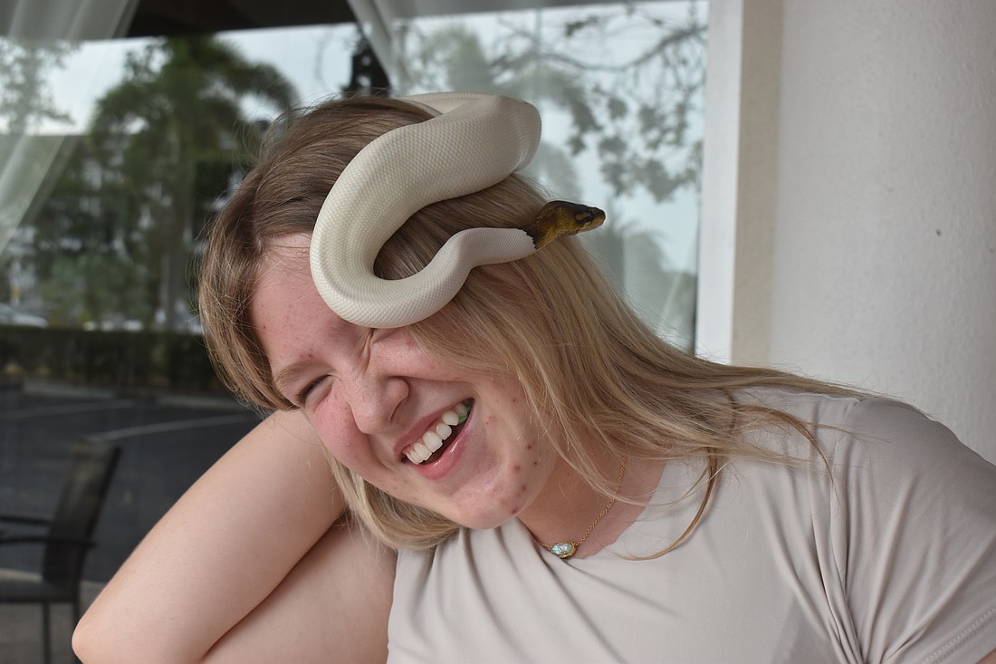 Camryn Duley has loved snakes since the age of 5. She takes Ghost, her cinnamon pied ball python, in public often to debunk the idea that snakes are dangerous and scary.
