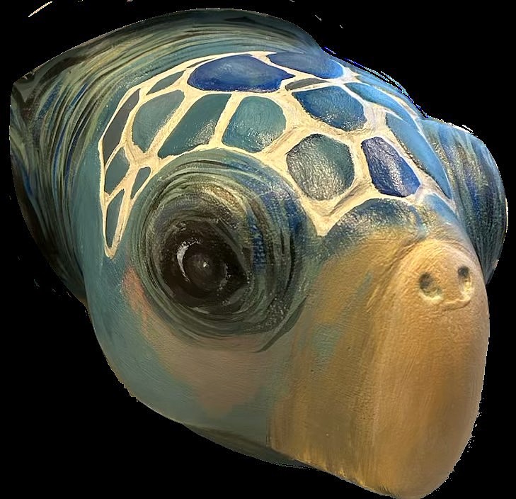 Art celebrating Flagler County Turtle Trail on display at Expressions Gallery