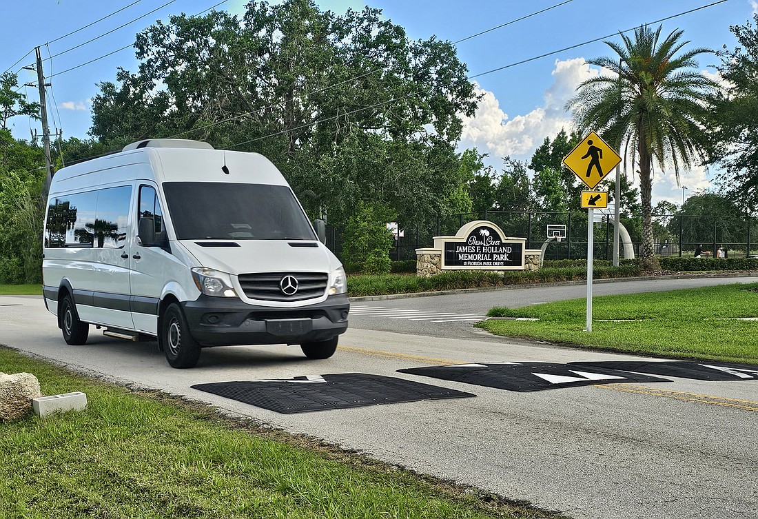 A set of speed bumps that were installed across from James F. Holland Memorial Park on Florida Park Drive. Photo by Sierra Williams
