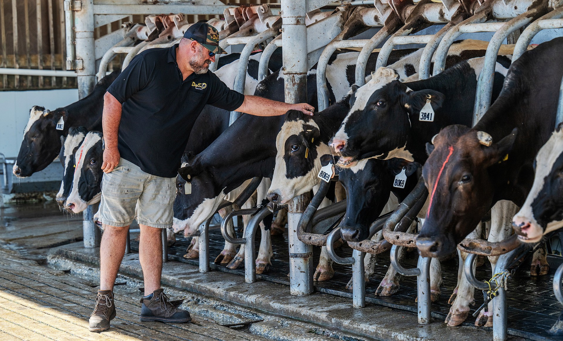 A natural storyteller and hands-on farmer, Garrett Dakin and his brothers are carrying on a multi-generational dairy legacy in Myakka City.