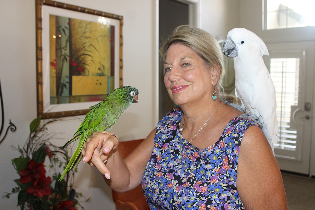 Cindy Gordon, board chair of the Florida West Coast Avian Society, says pet birds such as parrots have special needs, but the upside of ownership is well worth it. Chewy and Chester obviously think so.