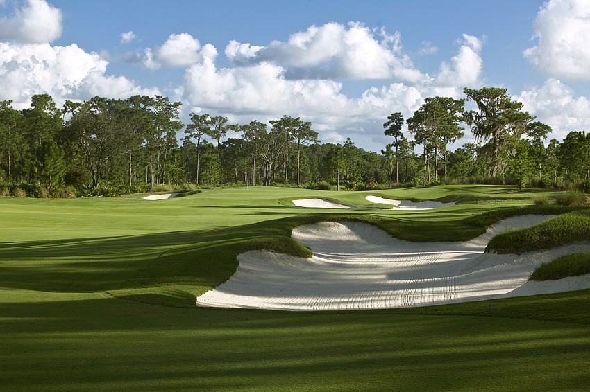 The view of the first hole from behind the fairway bunkers at The Concession.