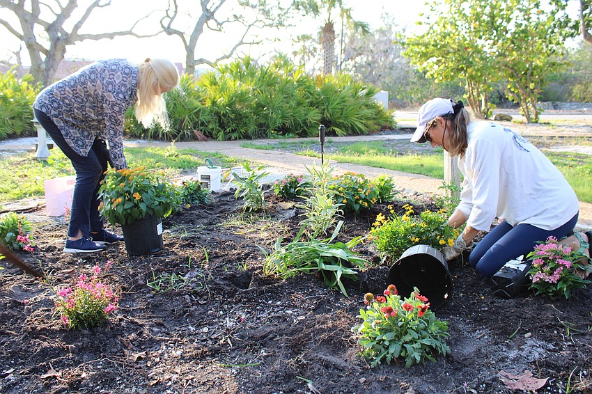 Susan Phillips and Cyndi Seamon volunteer to help replant the Butterfly Garden at Bicentennial Park early in the morning. Replanting efforts continue this week.