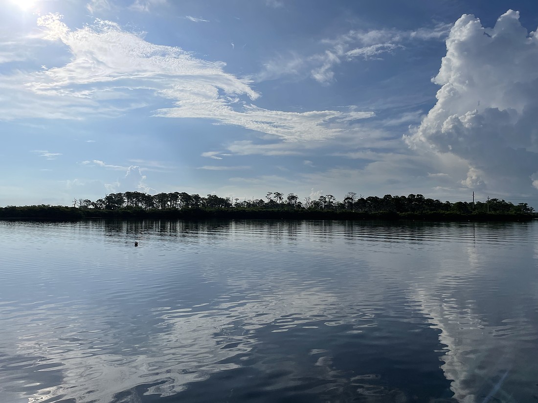 Pine Island is located near the mouth of the Braden River.