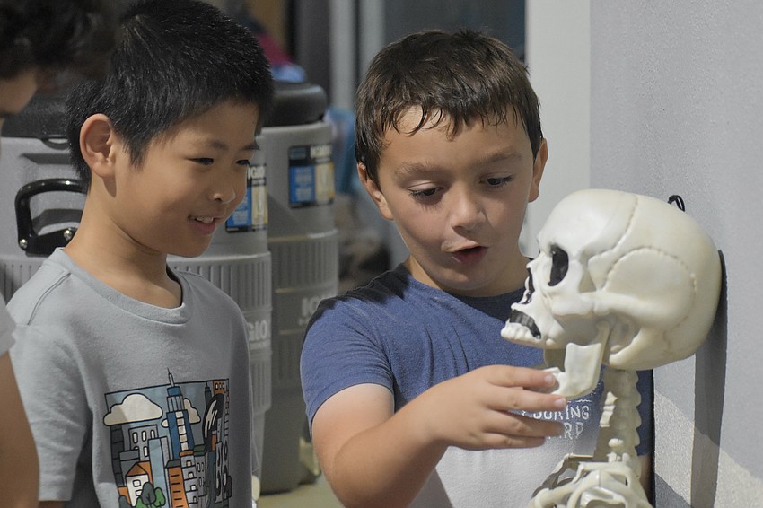 Myron Zhang 8, and Finn Farino, 8, look at a model of a human skeleton.