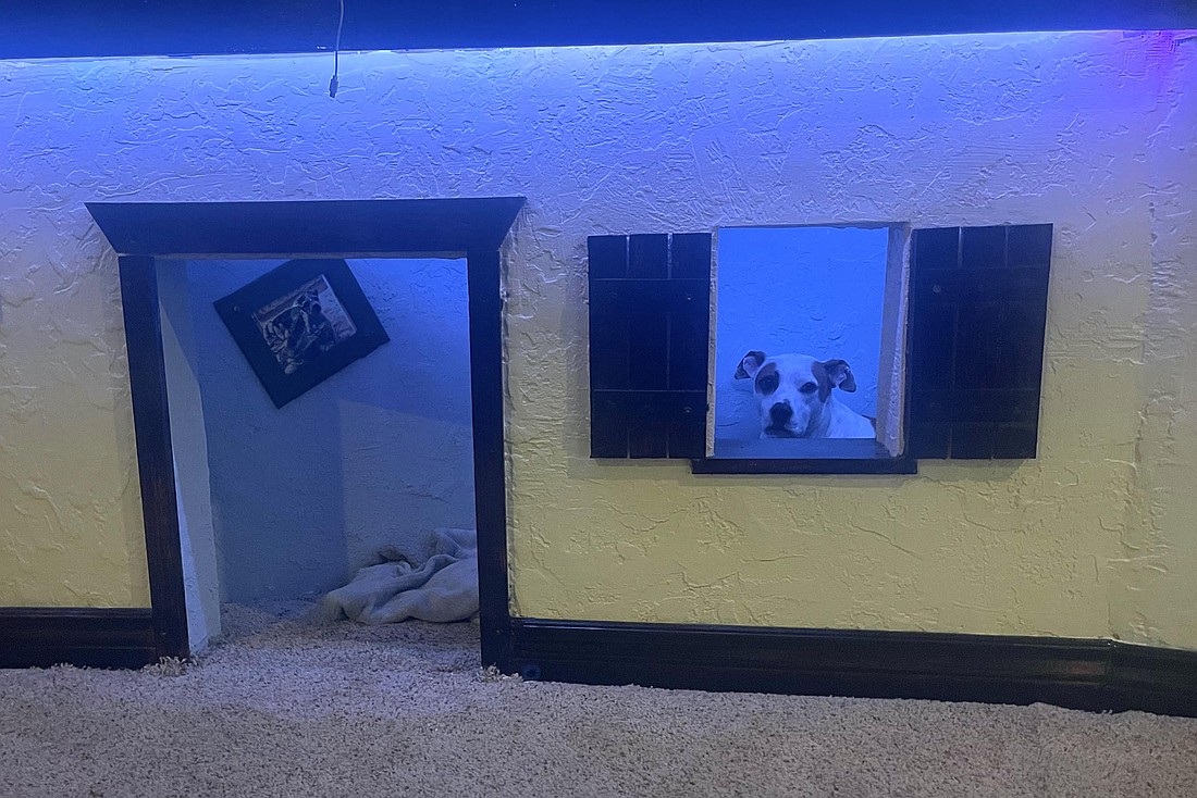 Lilly Lou Pickles’ apartment. Photo courtesy of Amy Carotenuto
