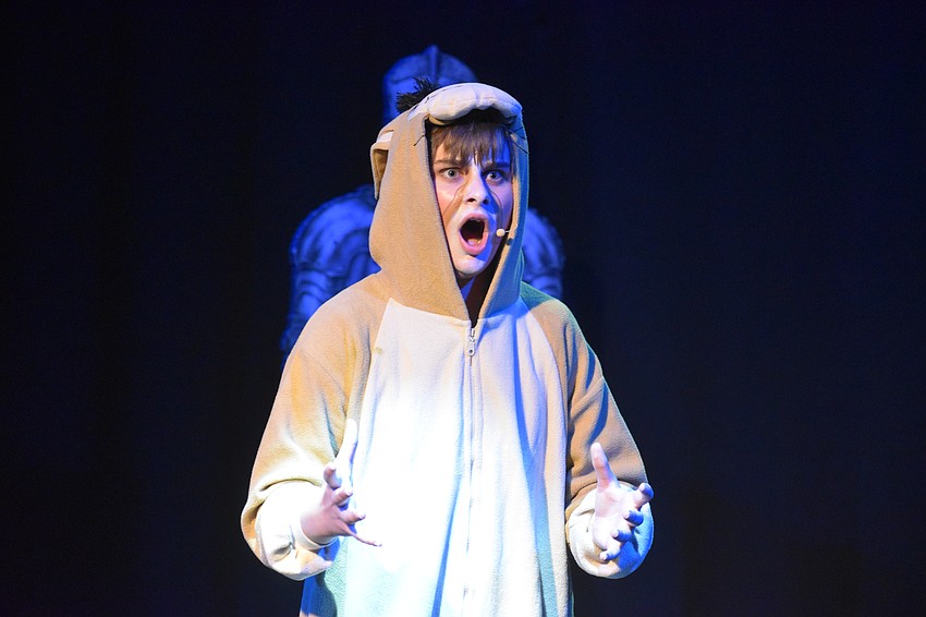 Lakewood Ranch resident Noah Gross, 14, plays Donkey who provides comedic relief to the audience.