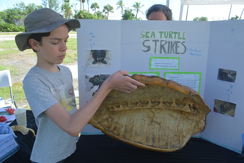 Nicolas Hunter shares how boating accidents might affect a Sea Turtles shell as a part of Mote's Homeschool Program projects.