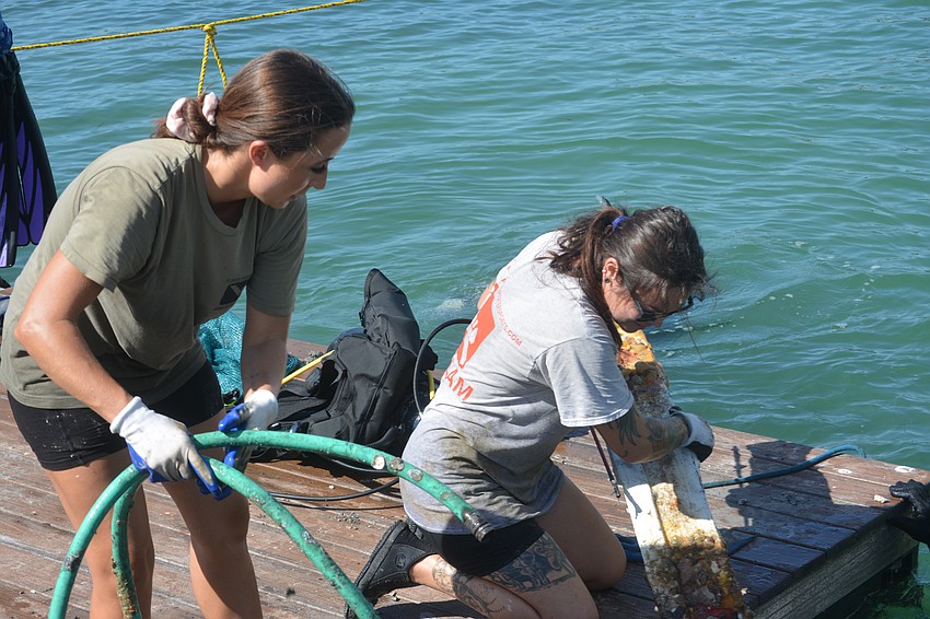 Victoria Santiago and Heather Arnone lend a helping hand to the divers bringing in debris.