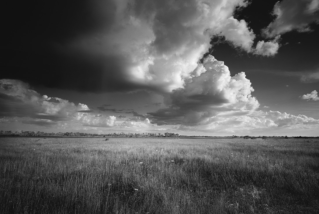 Clyde Butcher took "Everglades Restoration" in 1995. He is passionate about protecting the wetland.