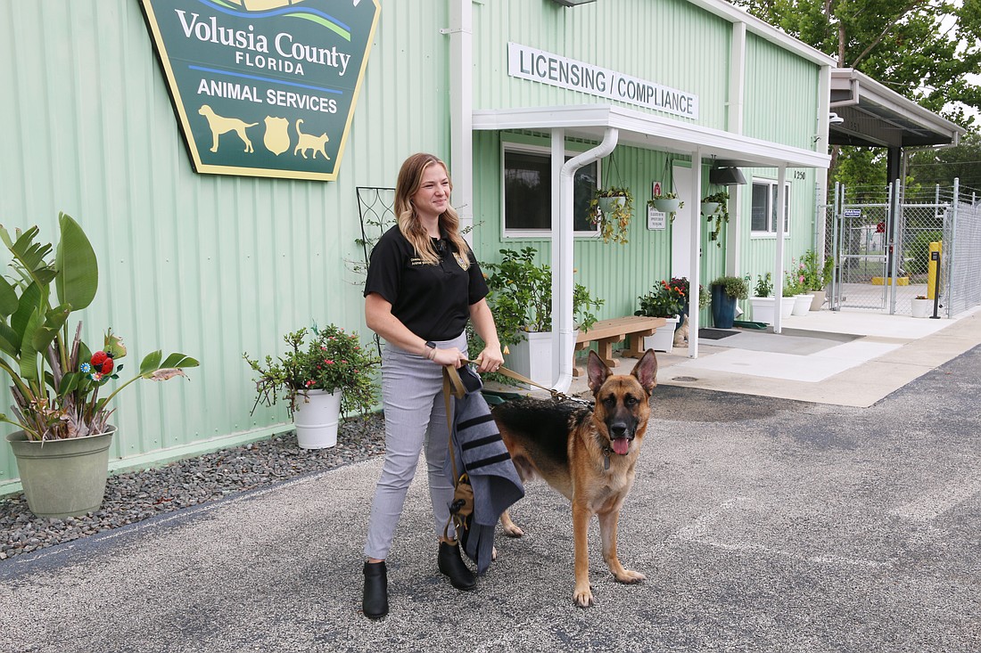 Angela Miedema, director of Volusia County Animal Services, speaks about how thunder jackets can help dogs, including Goliath, keep calm on the Fourth of July. Photo by Jarleene Almenas