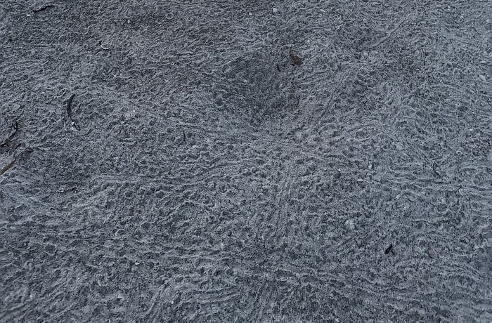 Longboat Key Turtle Watch reported the first hatch of the 2025 season in a post on June 28.