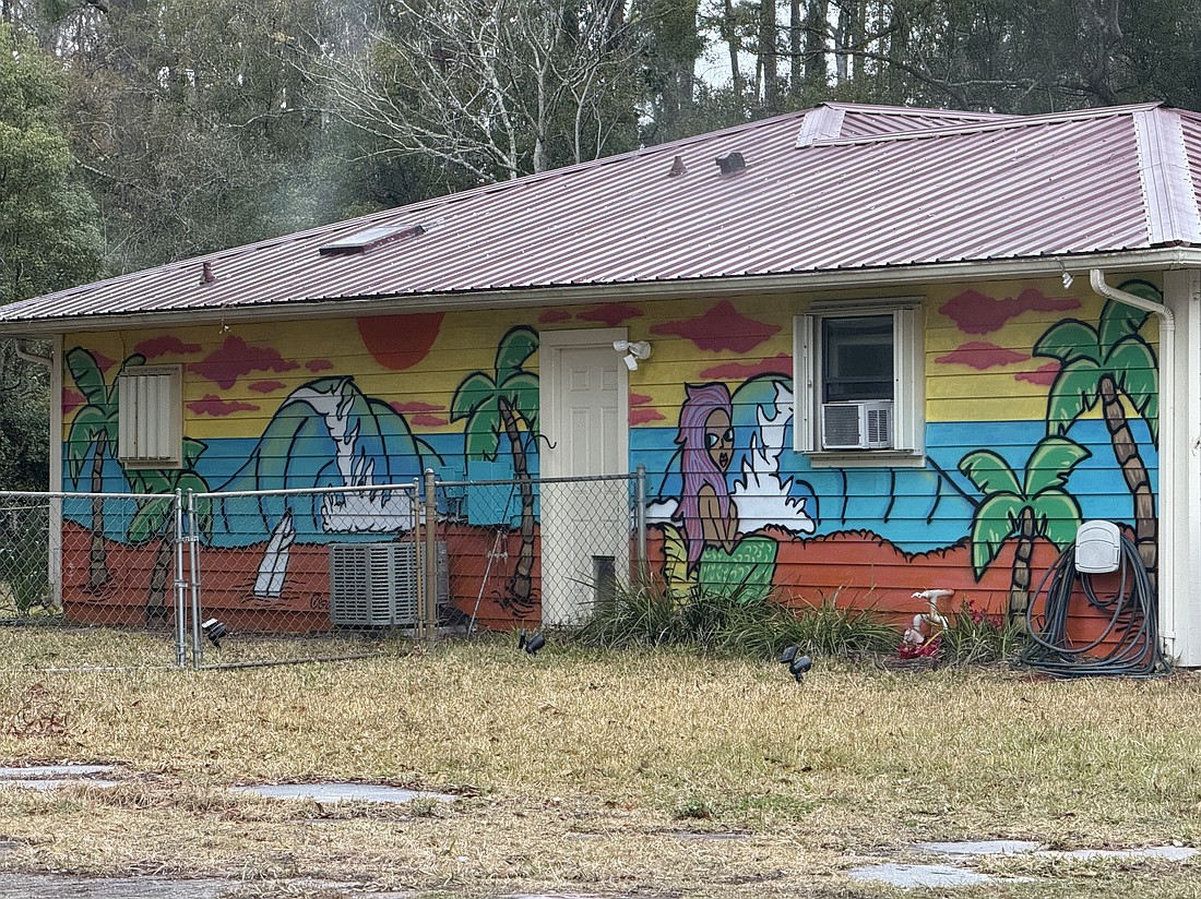 A home in Bunnell is painted with a mural. Palm Coast just voted to repeal its own house color ordinance. Photo by Brian McMillan