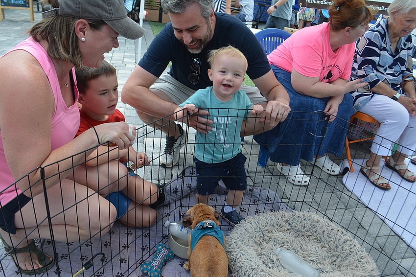 Megan Edwards, Jack Edwards (6), Theo Edwards (1) and Jeff Edwards are all smiles to meet Daisy.