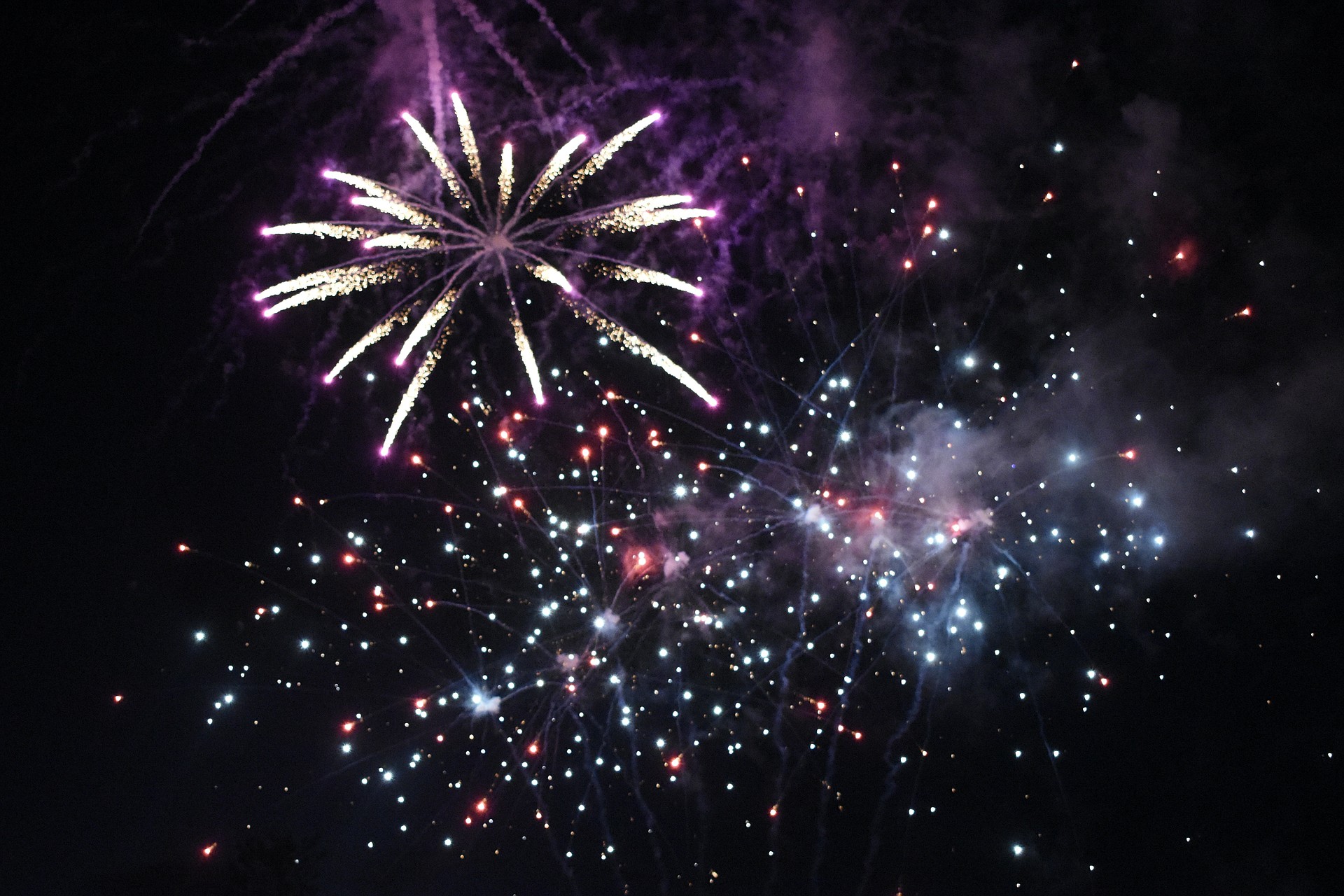 Attendees were impressed by the fireworks across Sarasota Bay.