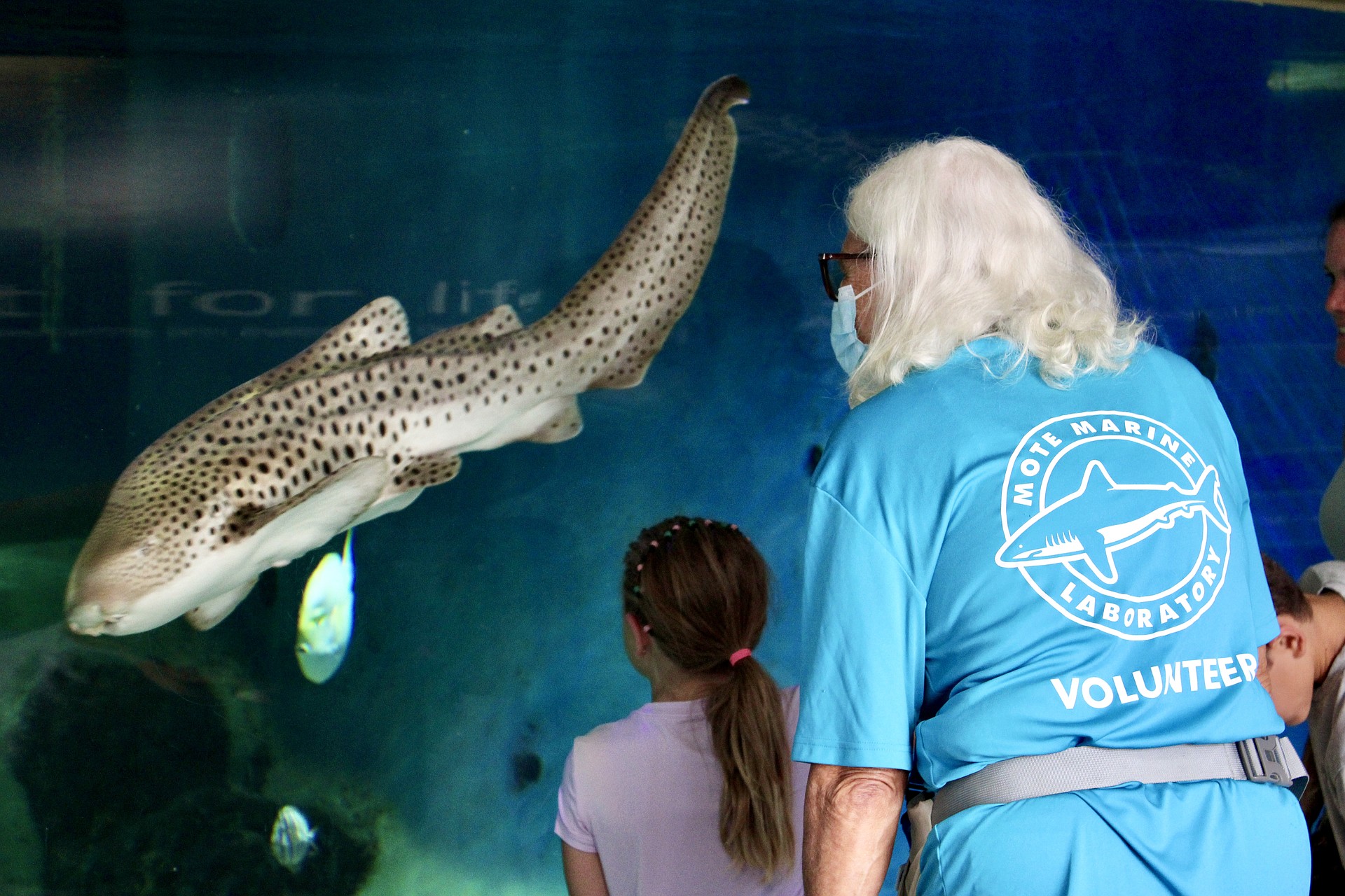 Visitors and volunteers alike took a moment to enjoy the view at Mote Marine Laboratory & Aquarium before it closed to facilitate a move to East County.