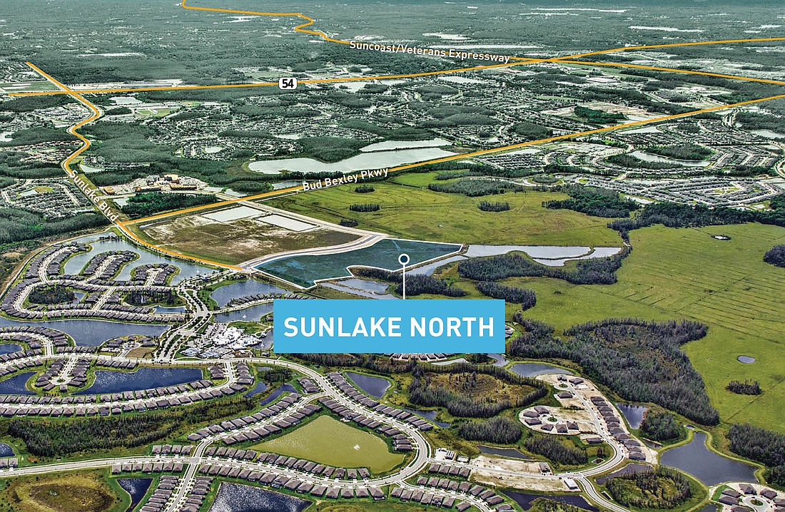 A 250-home build-to-rent community will be built near Sunlake Boulevard in Pasco County.