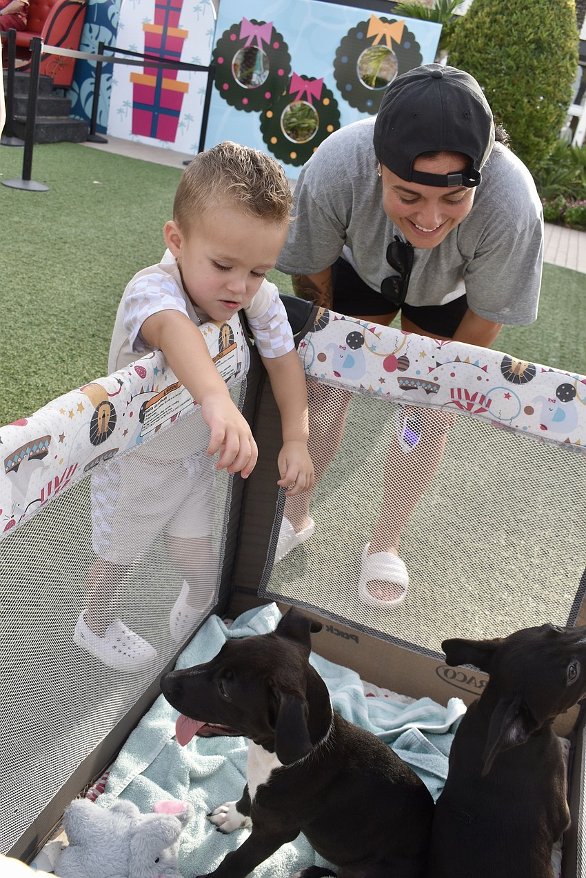Sarasota's Nino, 2, and Natalie Sera check out the puppies from Nate's Honor Animal Rescue Center.