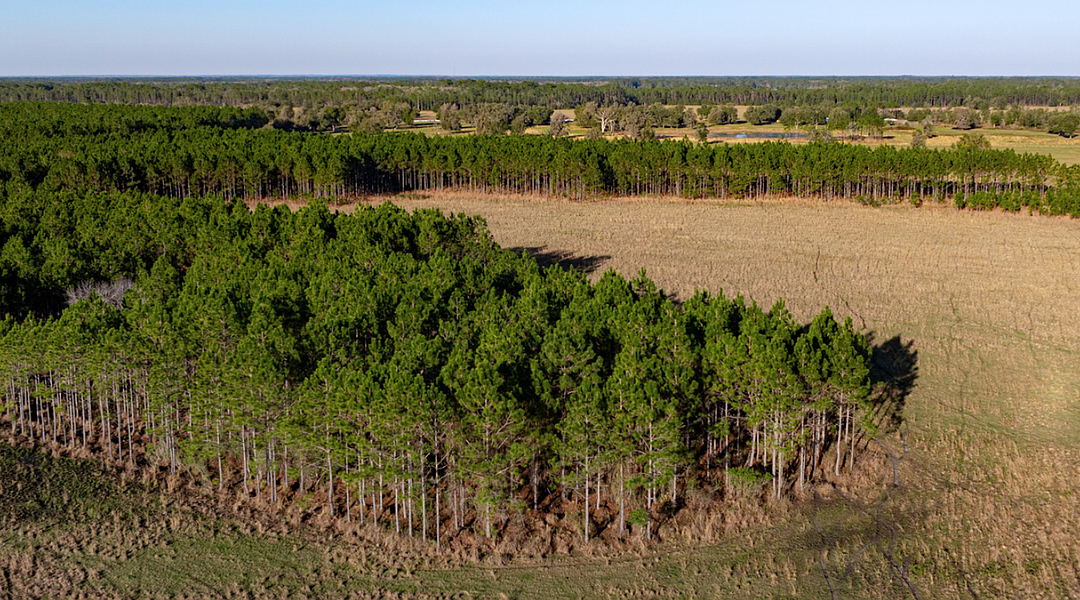 Growing Lakeland firm tops $1 billion in 2025 sales