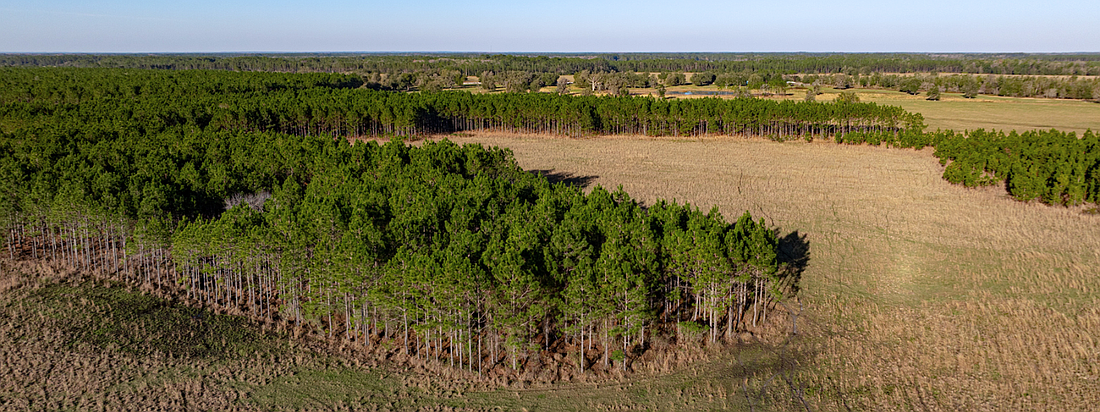 Located in North Florida, the 4,833-acre working ranch and timber operation, sold in June for over $20 million