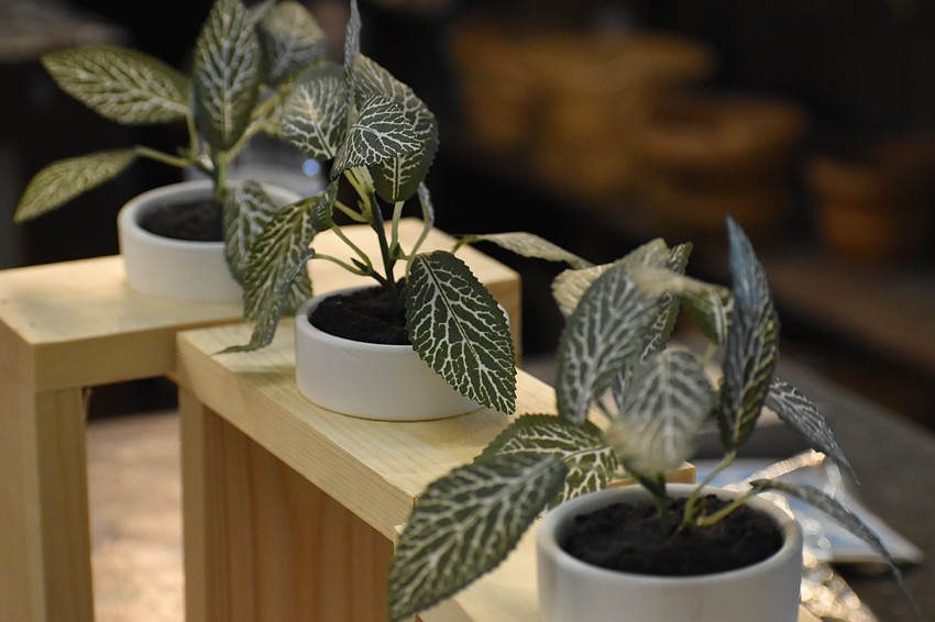 Plants sit ready to be placed in the plant holders.