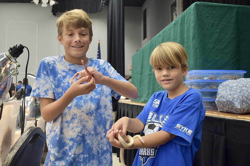Dylan D'Angelo, 11, and his brother Asher D'Angelo, 9, hold a Honduran milk snake and a Baja kingsnake.