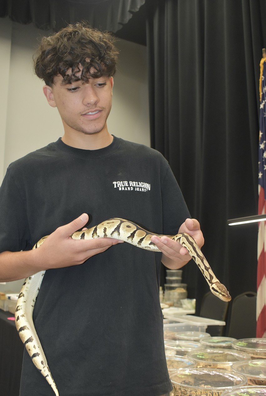 Saed Thalji holds a ball python.