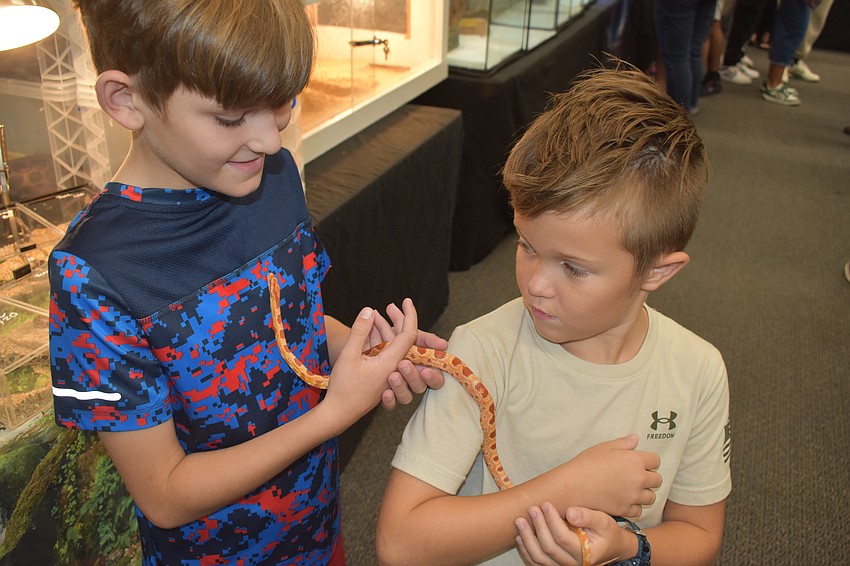 Chase DeLoach, 8, and his friend JD Cooley, 8, hold an albino Okeeteee corn snake.