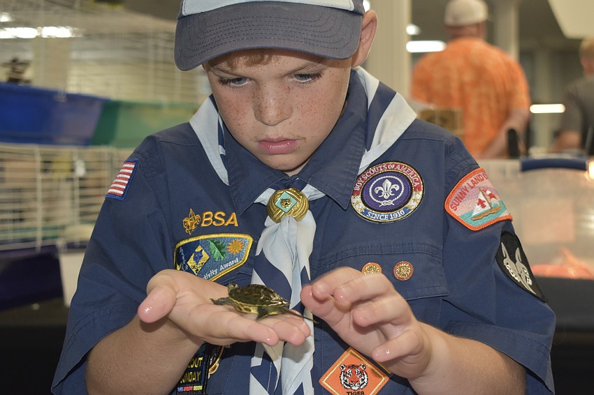 Joshua Dockery, 11, makes a turtle friend.