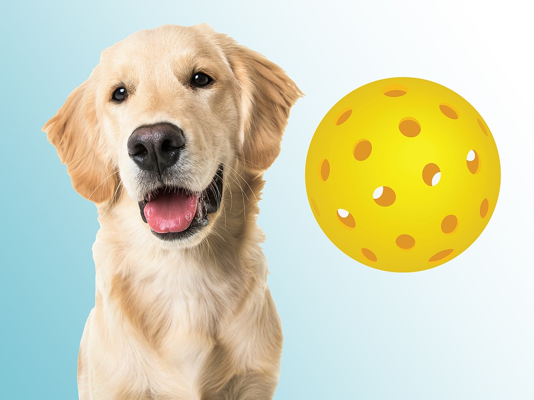 An open-air dog park with six covered pickleball courts is planned in Yulee in Nassau County.
