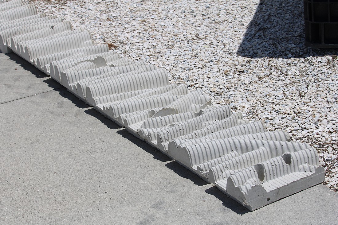 Modeled after mangrove roots, this concrete paneling provides habitat for aquatic critters to nestle in along the shore at Bayfront Park.